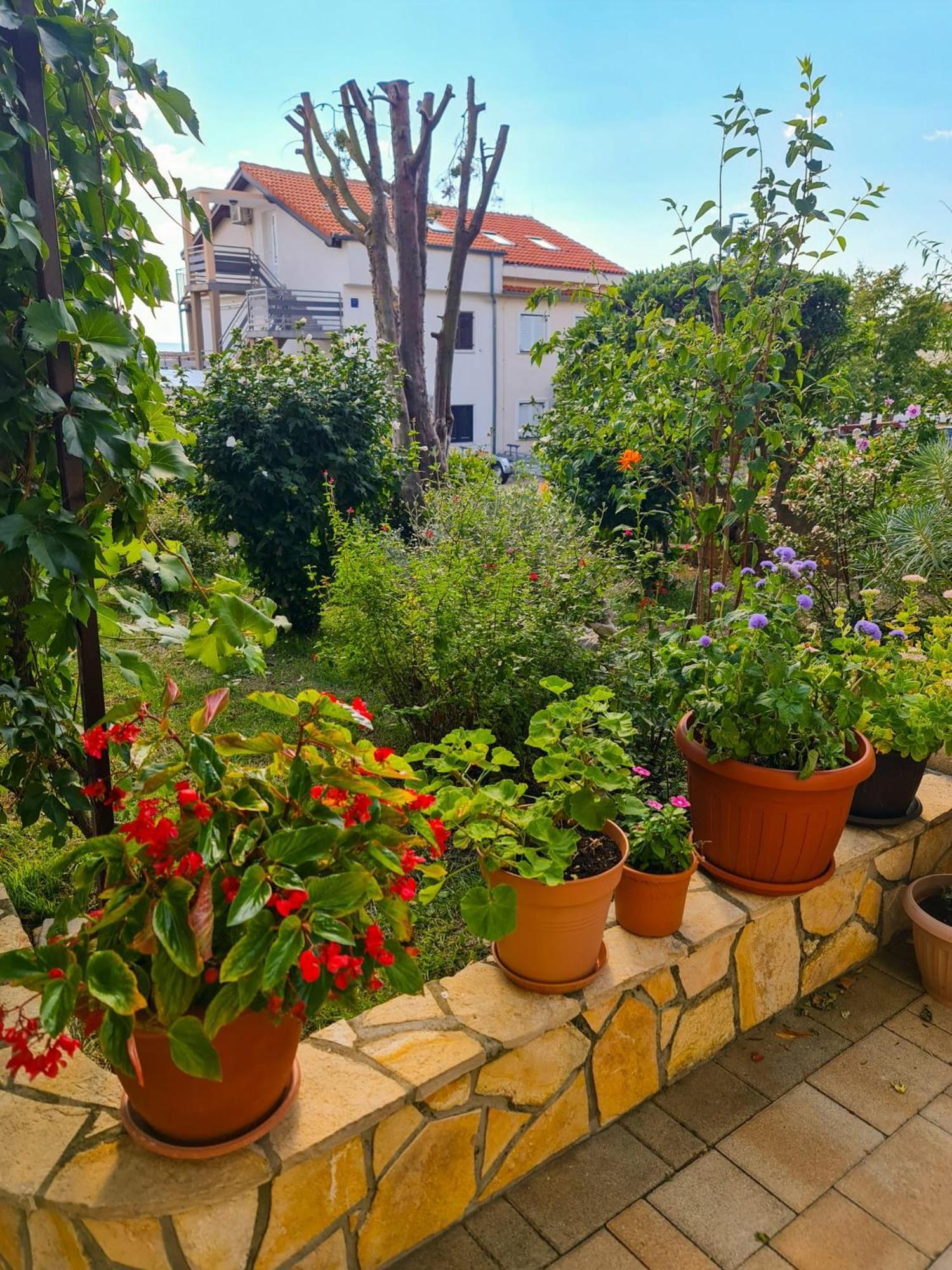 Apartments Marko Нови-Винодолски Номер фото